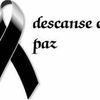 user259409016