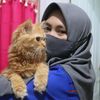 Nyanya_Petshop