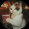 kj_19_7