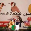 تربية الحسون الأخ جلال🇩🇿