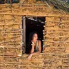 kenauafalcao
