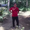jojosaplan
