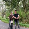 dapvall_