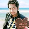 zeeshanshani519