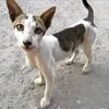 kwvop