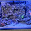 dannysreef1