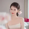 p.nancy_30104