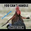 chickenwilly2000