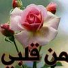 user033430572