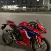 vloghaicodon