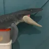 jurassic294