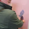 bobbydavedevii