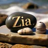 zia8984