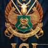 nabeelbutt087