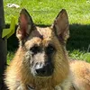 gsdnamedaxel