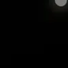 _melly.q