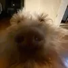 ughghggghhhgh
