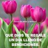 indira.calla0