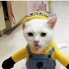 blueberry_berry14