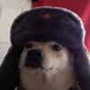 comrade_dog420