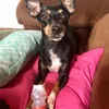 ludimilamoreira
