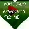 f6oom34
