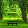 amireee3
