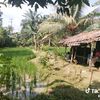 bapen88