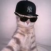 zacheus_rivan