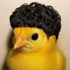laurensius_0