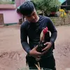 damstk