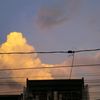 rnz_m1