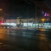 _nicolina2