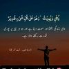 saad_king3022