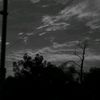 andres_sad17