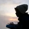 deasymei10