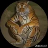 arapsukru00