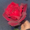 lama_s_odeh