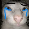 meruem_thegreat