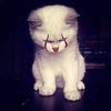 rassya_1102