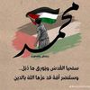 mohamedhossam_9103