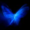 ur.b6by