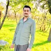 sherwanharki