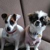 mayaymolly