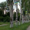 bivisand