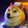 androidree448
