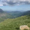 ed_turns