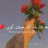 nzir13