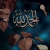 abdalsalam.alshafei