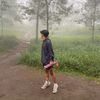 nopalll